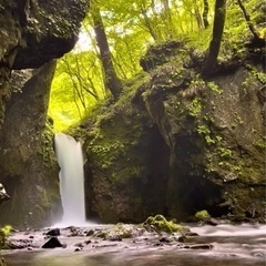 🔥旅、旅行好き募集🔥写真好きも可！ − 東京都