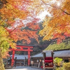🔥旅、旅行好き募集🔥写真好きも可！ - メンバー募集