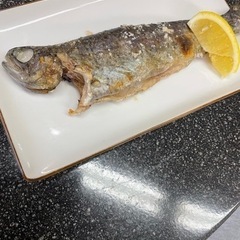 カブトムシ