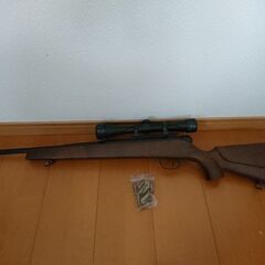エアーガン[値引き致します]