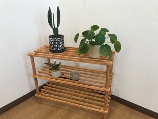 (予約中) 棚 + 観葉植物