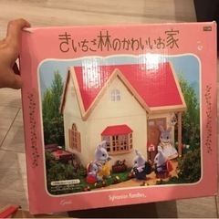 シルバニアファミリー　きいちご林のかわいいお家