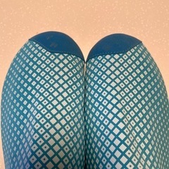 アクアフィットシューズの画像