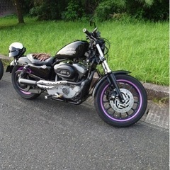 スポーツスターXL1200r 