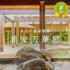 大江戸温泉　浦安万華郷　入館券　1枚②の画像
