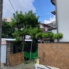 お庭の事ならHOME MADE TSKにお任せを！🌿