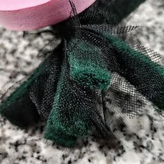 メダカ　産卵床　めだかの画像