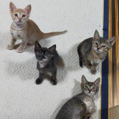 家族になってください★