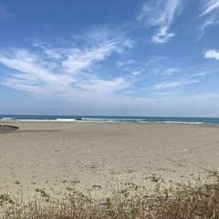 サーフィン仲間募集しています！