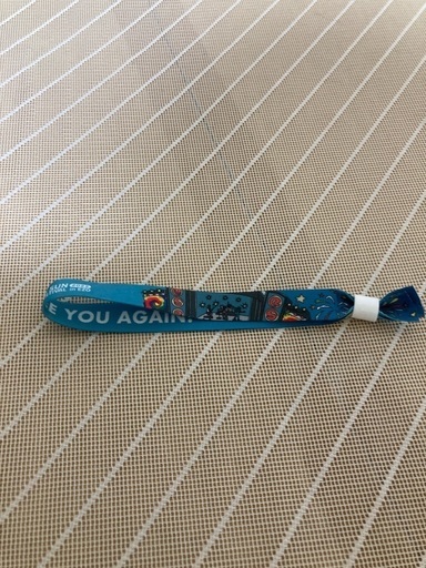 ライジングサンロックフェスティバル　通し入場券(リストバンド)