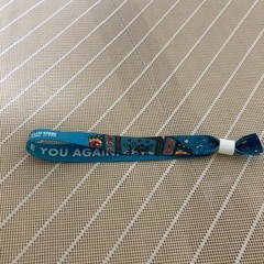 ライジングサンロックフェスティバル　通し入場券(リストバンド)