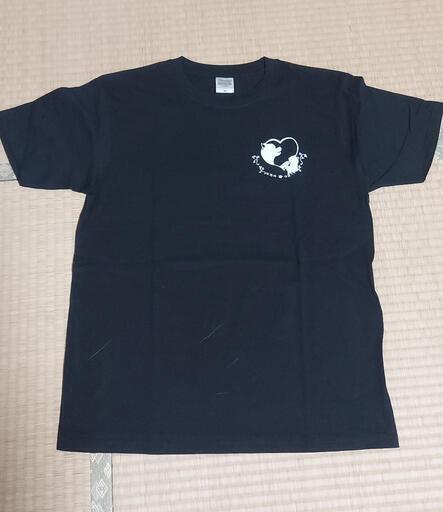 XLサイズ  Tシャツ