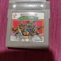TURTLES　決まりました!