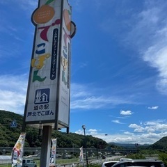 メダカ　1セット550円〜の画像