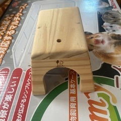 ルーミィベーシックの画像