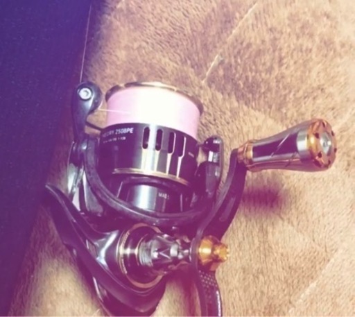 リール　セオリー2508