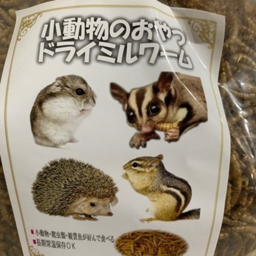 ドライミルワーム　約800グラム