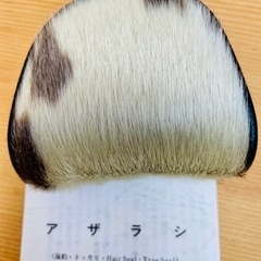 本革アザラシ　財布