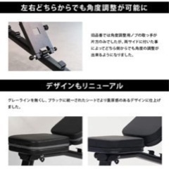 リーディングエッジ　インクランベンチ　差し上げますの画像