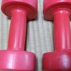 ダンベル１キロ×２