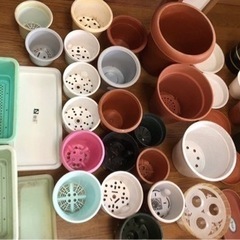 ガーデニングに♪ 大量プランター、トレーなど　おまけつきの画像