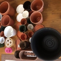 ガーデニングに♪ 大量プランター、トレーなど　おまけつきの画像