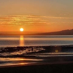 心と身体のデトックス行🍀オンライン開催
