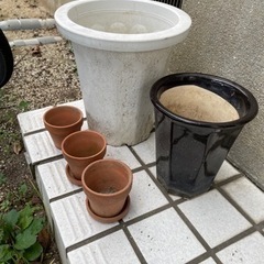 植木鉢色々の画像