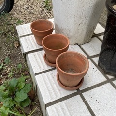 植木鉢色々の画像
