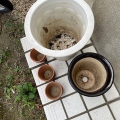 植木鉢色々の画像