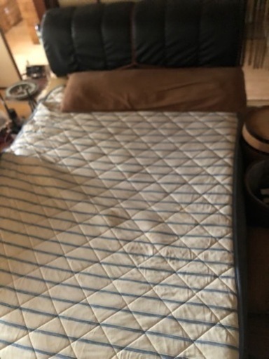 セミダブルベット