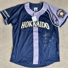 (値下げ予定なし)未使用品！北海道日本ハムファイターズ　稲葉篤紀...