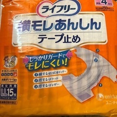 大人用紙おむつ 大きいサイズ