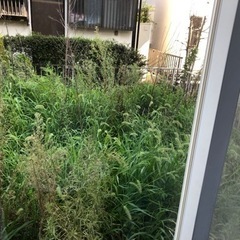 草刈りして頂けませんか 問い合わせ殺到の為一時停止