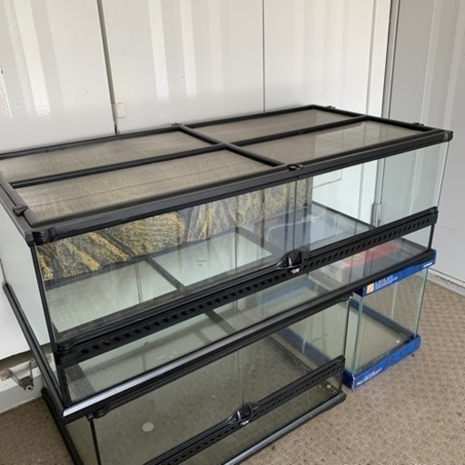 爬虫類ケージ16