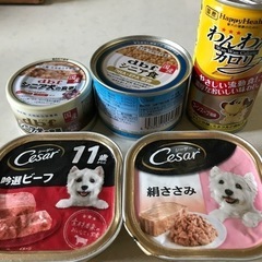 ドッグフード 缶詰 スープ