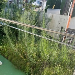外用　物干し竿