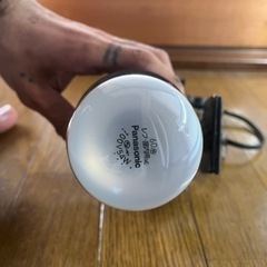 爬虫類用の保温球とライトスタンドの画像