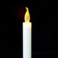 怪談座談会をしませんか？