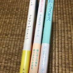 【さよならポニーテール】きみのことば他、3冊セットの画像