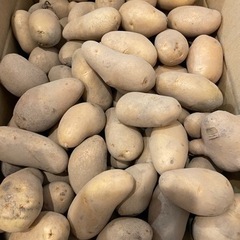 じゃがいも　1キロ　200円