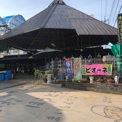 急募　ぶどう園の接客、品出し、梱包などの画像