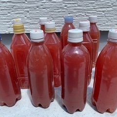 PSB 500ml 