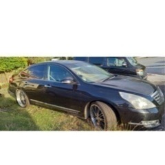 J32ティアナ　決まりましたの画像