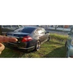 J32ティアナ　決まりましたの画像