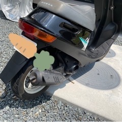 ホンダ ディオ（HONDA Dio）AF18 初期型ディオ 2ストの画像
