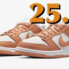 25.5cmNike SB Dunk Low Pro Light...