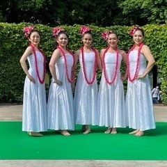 フラダンスの画像