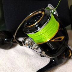 20 ステラ SW 5000 HG