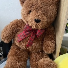 くまのぬいぐるみの画像